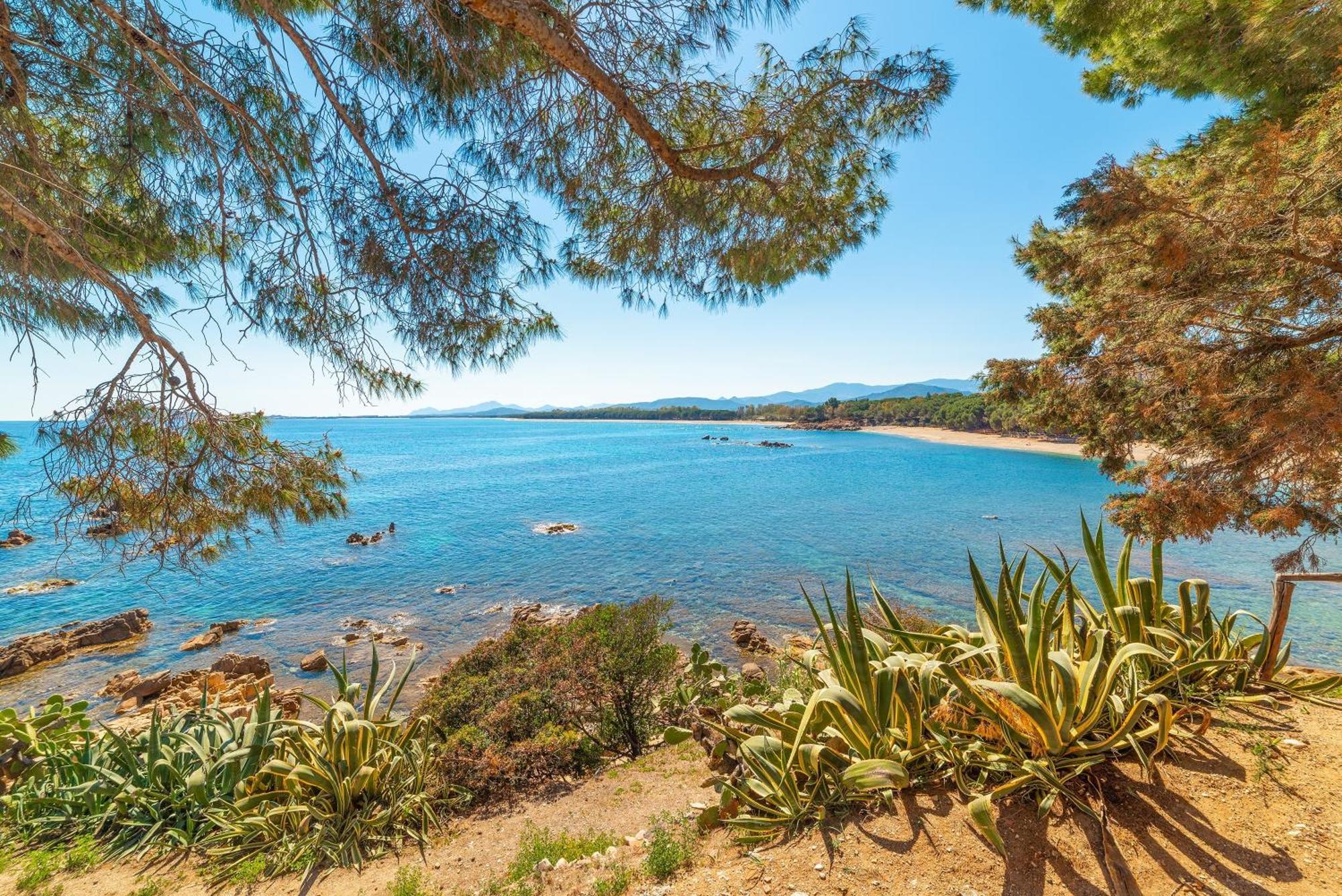 Le Corti Sarde Beach Apartments Бари Сардо Екстериор снимка
